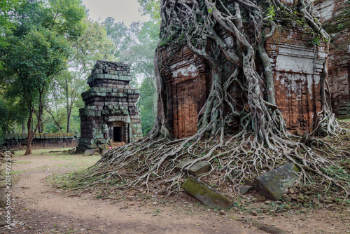 Photography Ancient brick temples in Koh Ker, Cambodia, are being reclaimed by nature as massive tree roots engulf the structures, showcasing the power of time and the jungle