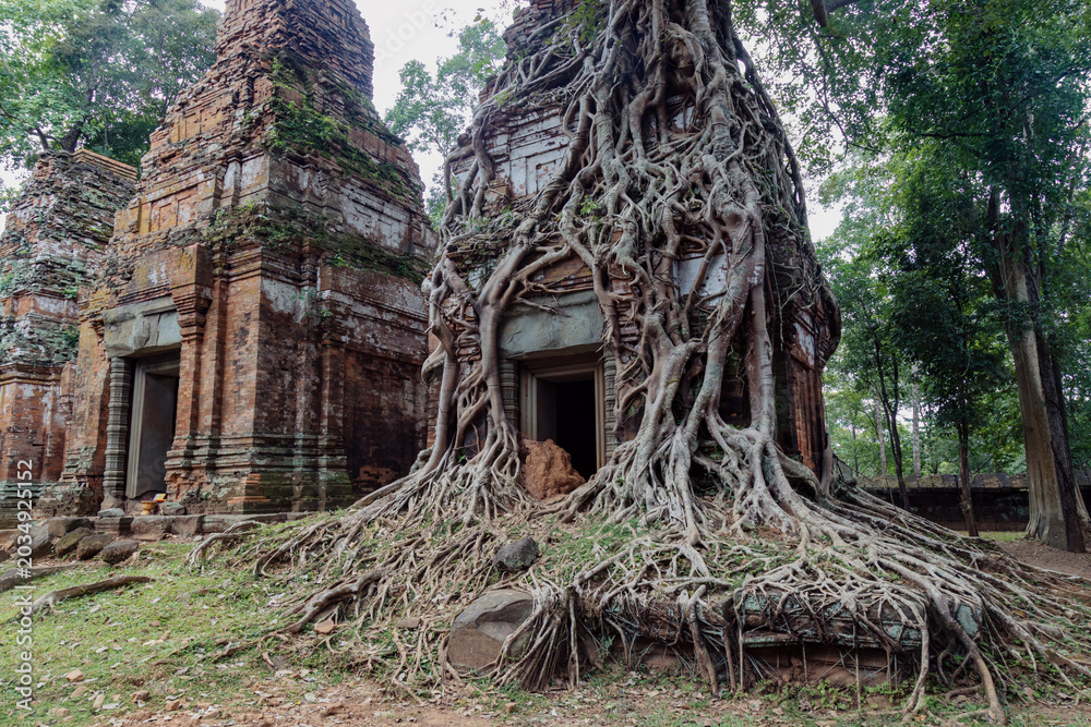 Fototapeta premium Ancient temple ruins of Koh Ker, Cambodia, overgrown with tree roots, showcasing the enduring power of nature over man-made structures.