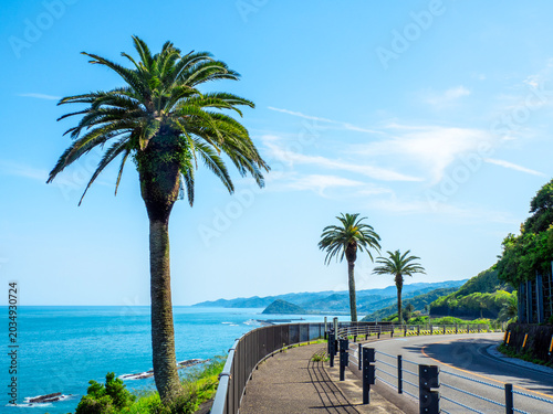 日南海岸（堀切峠付近・宮崎県日南市）
