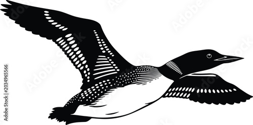 Bild auf Leinwand Silhouette of a common loon flying in black and white