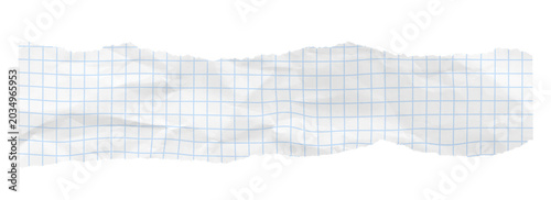 Torn Graph Paper with Wrinkles