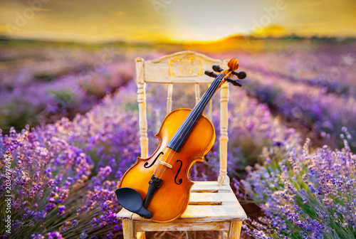 Violin on a vintage wooden chair in a full bloom Lavender field