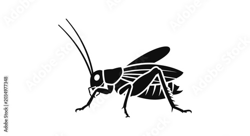 Obraz na płótnie Black silhouette of a cricket insect on a white background, isolated vector illu