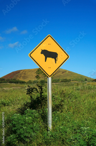 A cow sign stands against Rapa Nui’s sky, a quiet emblem of island life where cattle and culture share the land, Easter Island, Chile, South America