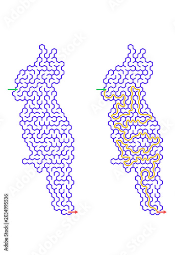 Parrot shaped maze puzzle with solution path, tropical bird game