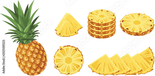 Tableau sur toile Fresh pineapple fruit slices collection vector illustration, whole ananas rings