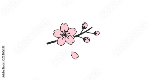 Pink Cherry Blossom Flower Branch.