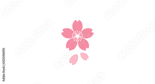 Pink Cherry Blossom Flower Closeup View.