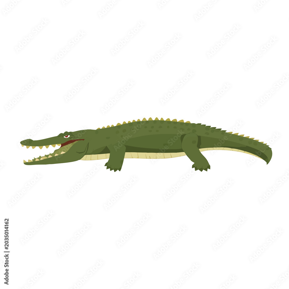 Fototapeta premium Green cartoon crocodile with open mouth vector illustration