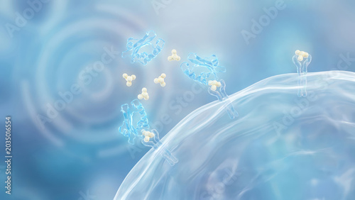 Insulin and Glucose Interaction on a cell membrane receptor, molecular 3D medical illustration, clean scientific style
