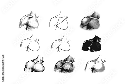 Collection of artistic renderings of the human gluteal region in various styles
