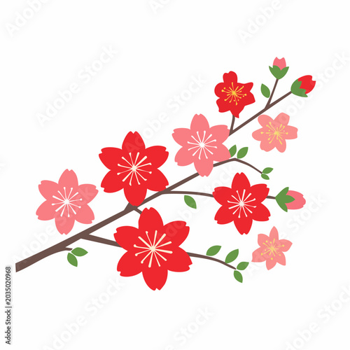 Cherry Blossom Branch with Red and Pink Flowers
