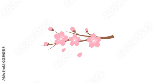 Pink Cherry Blossom Branch Floral.