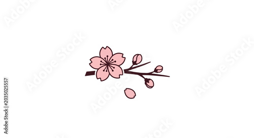 Pink Cherry Blossom Flower Branch.