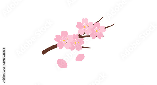 Pink Cherry Blossom Branch with Petals.