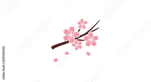 Pink Cherry Blossom Flower Branch.