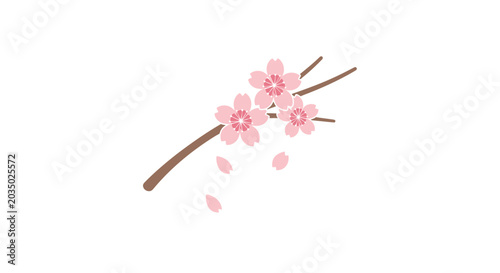 Pink Cherry Blossom Flower Branch.