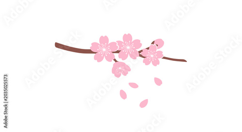 Pink Cherry Blossom Flowers on Branch.