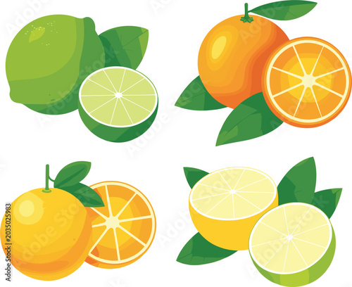 Foto Fresh citrus fruits collection vector illustration, whole and sliced orange lemo