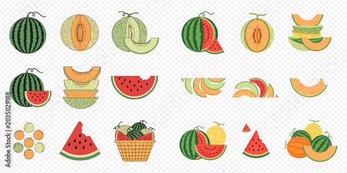 Bilde på lerret Collection of various fresh and juicy watermelon and melon fruits, whole and sliced, in a flat design style
