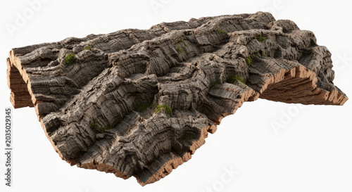 Close up of realistic cork oak bark texture piece showing natural ridges and details