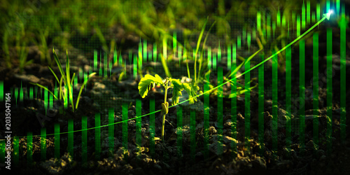 Quadro su tela Green growth concept with financial graph and young plant growing in fertile soil for ESG investment, sustainable business development and corporate carbon neutrality planning