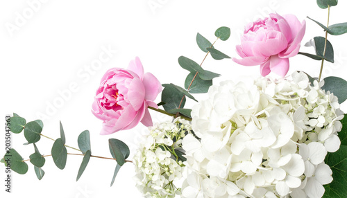 a corner frame pink peonies and white hydrangeas flowers, isolated on transparent background