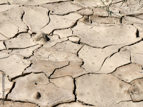 close up of cracks in the soil in dry land, drought concept and desertification.  cracked earth detail and background