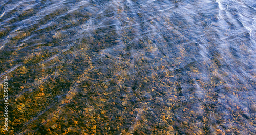 Colorful pebbles under water surface.