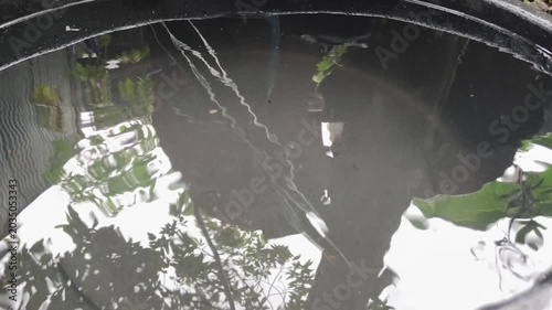 water splash in the water