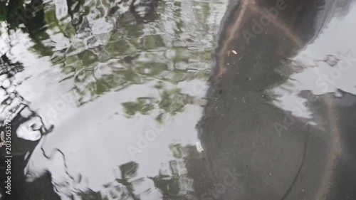 water splash in the water