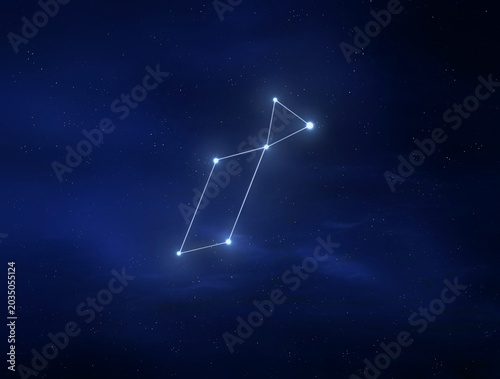 Bild auf Leinwand Lyra constellation in the night sky