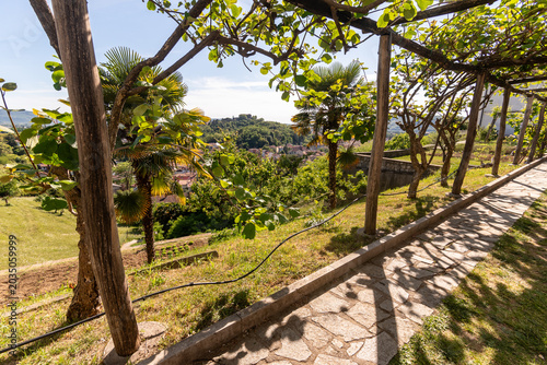 Panorama delle verdi vallate slovene viste dall'alto del monastero di Kostanjevica  in primavera 