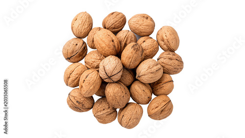 Tableau sur toile Small pile group of whole organic brown hazelnuts or filbert nuts in shells for