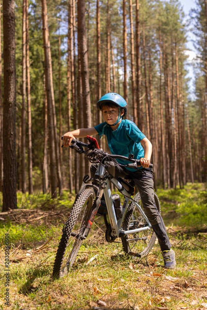Naklejka premium Happy children, boys, riding bikes together in a beautiful czech ruralside summer time