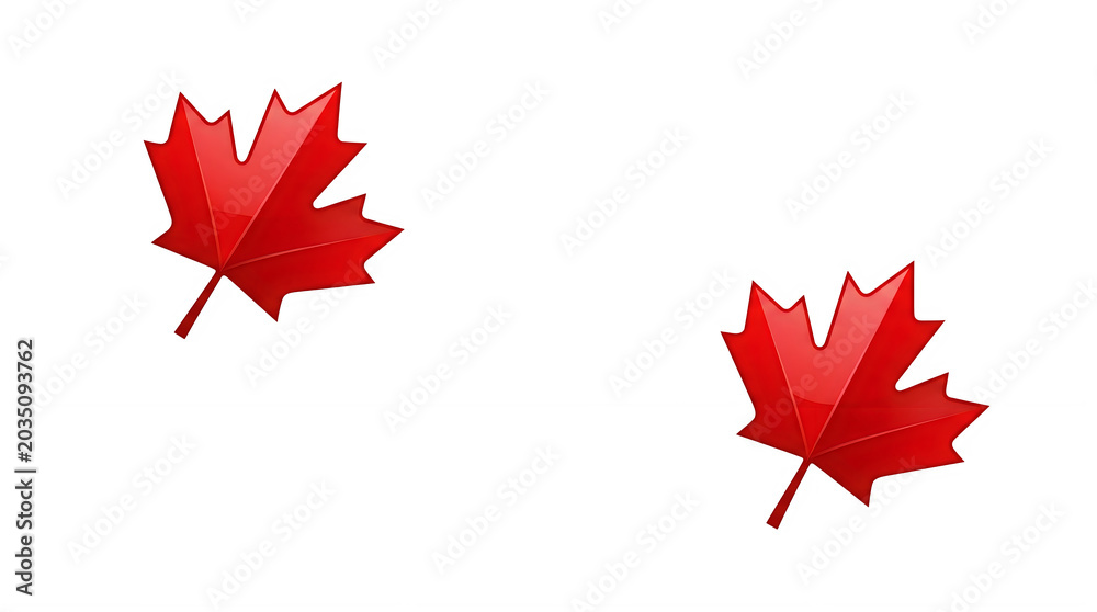 Obraz premium Red maple leaf isolated on white background minimalist design