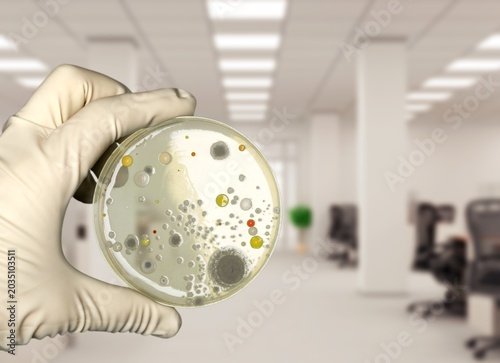 Tableau sur toile Scientist holds a petri dish with multi-colored bacteria from the environment,