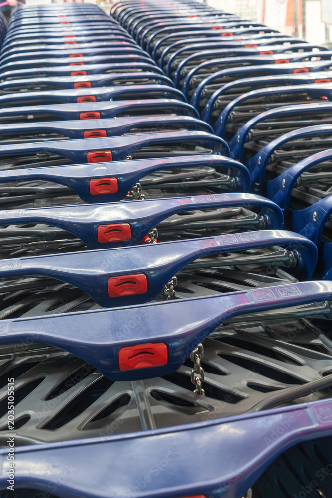 Fototapeta premium Row of blue plastic shopping carts in a store. Perspective view of empty shopping carts waiting for customers in a hypermarket