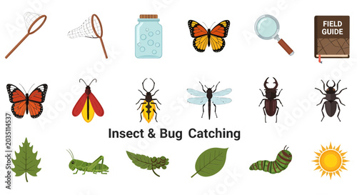 Bild auf Leinwand Insect Bug Catching Tools Equipment.