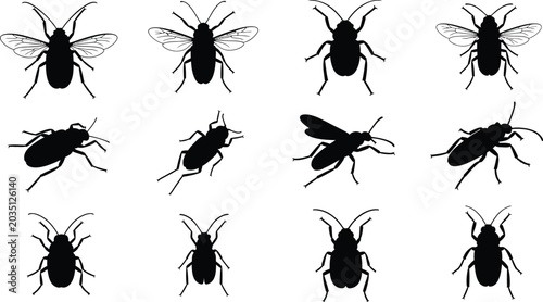 Konstfotografi Twelve black insect silhouettes with wings and antennae on white background
