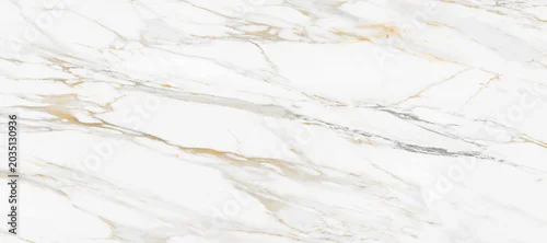 Panel kuchenny z motywem Luxury premium calacatta gold marble stone texture.