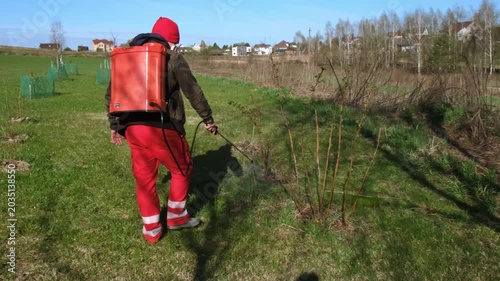 Worker spraying pesticide on a backyard for pest control, close-up, handles bushes. Gardening care work season. Early spring treatment of fruit trees, fungicide. Protecting the garden from diseases 4K