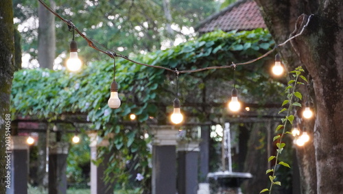 Canvastavla Warm garden lighting with glowing bulbs