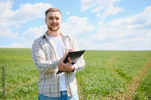 Bild auf Leinwand Agronomist checking wheat crop in green field