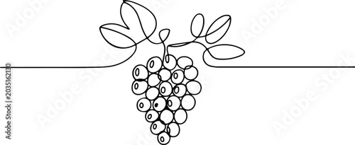 Continuous line drawing of a bunch of grapes