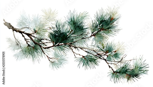 Delicate watercolor painting of a pine branch with green and white needles