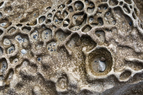 Photos Close-up of brown rock with honeycomb weathering, and tiny stones in the hollows