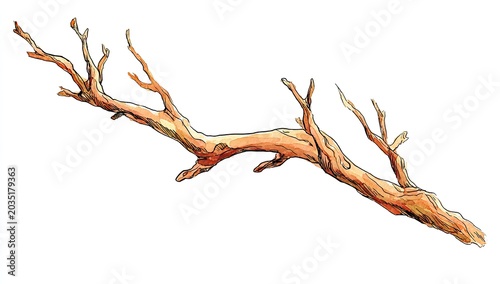 A single, gnarled, and branching deadwood, rendered in warm earth tones