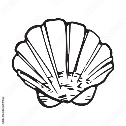 Tableau sur toile Hand drawn scallop shell sketch, black line art