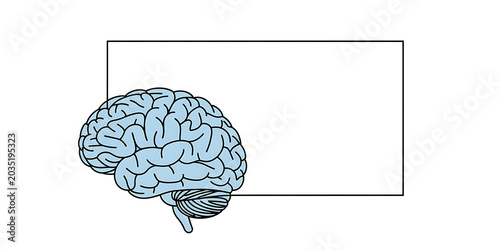Stylized light blue human brain with cerebellum and brainstem inside a thin black rectangular frame on a white